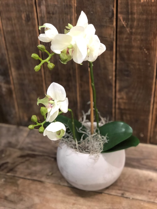 Artificial orchid in concrete pot 
