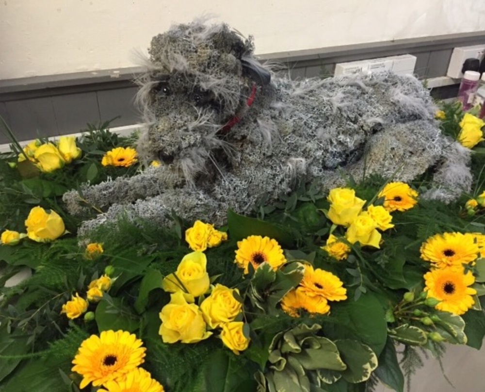 Irish Wolf Hound Bespoke Funeral Tribute 