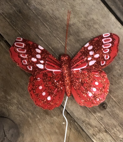 Red Butterfly 