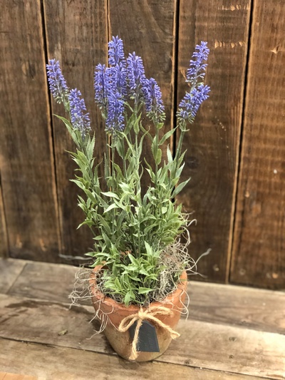 Artificial lavender plant in terracotta pot 