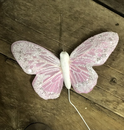 Pink Butterfly 