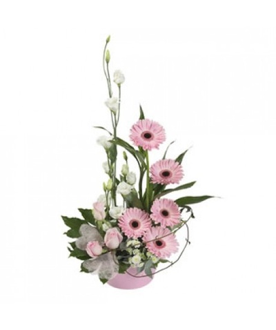 Pink Delight
