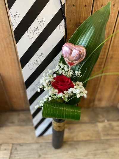 Crazy Love Single Red Rose 